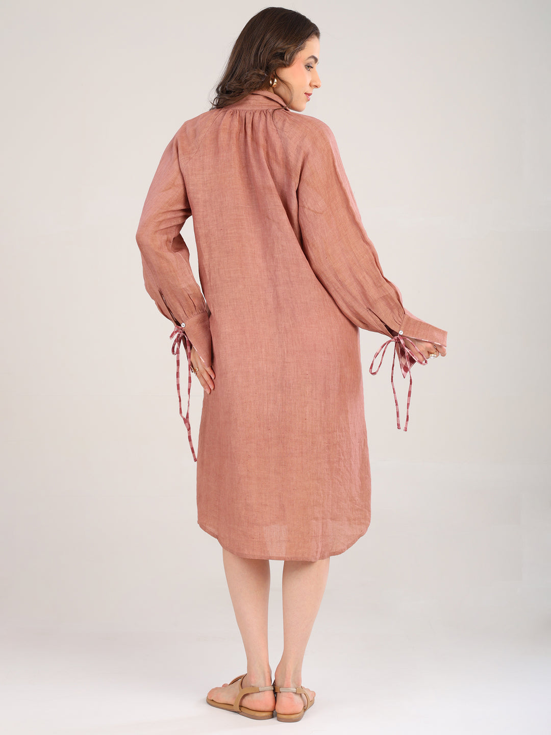 Siya Brown Collar Dress